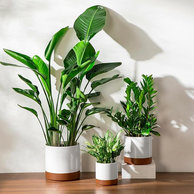 vancasso 6+8+10 Ceramic Pot for Plants Large Outdoor Indoor Planter Pots with Drainage Holes Set of 3 Khaki