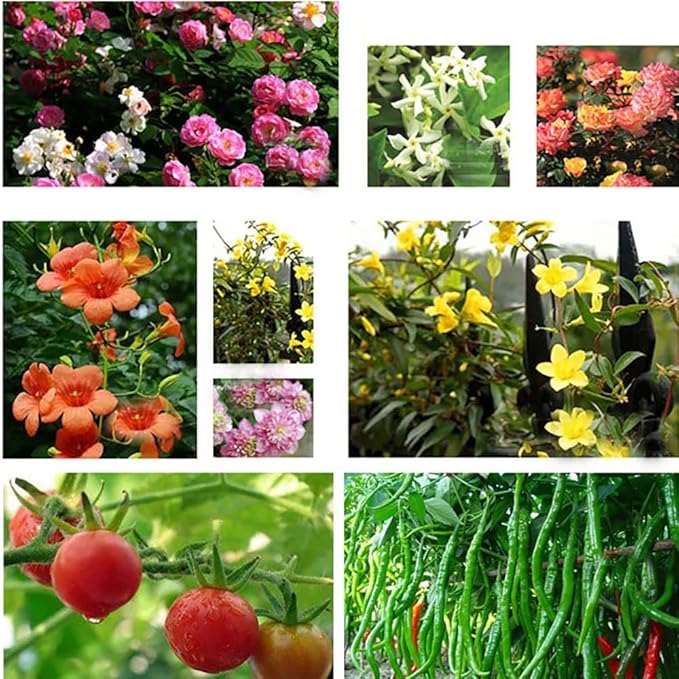 RADAAB Garden TrellisStainless Steel Trellis for Climbing Plants110cm140cm170cmTall Plant Support ClimbingPerfect for Tomatoes Vines and More 1-Pack (Size : 9.8/25cm Dia. x 43/110cm H)