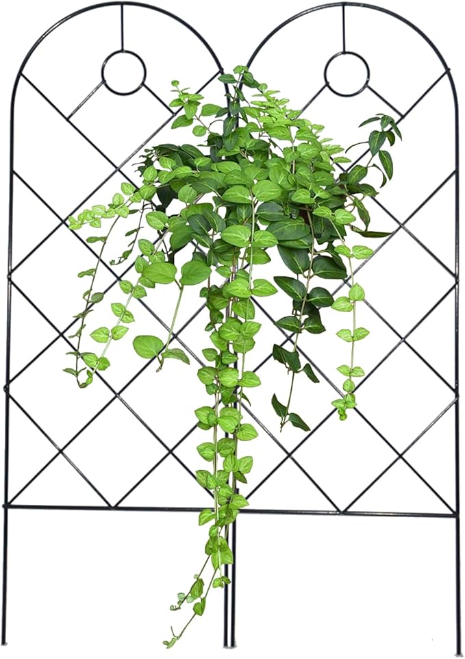 Garden Trellis for Climbing Plants for Climbing Plants Metal Rustproof Plant Support Trellis for Potted Plants for Climbing Plant Flower Rose Clematis Morning Glory Peony (2)