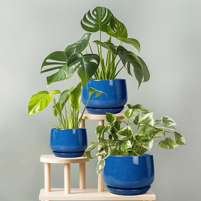 G EPGardening Ceramic Pots for Plants 9 Inch Modern Round Planter with Drainage and Tray Indoor Outdoor for Flower Patio Decor Housewarming Gifts Blue