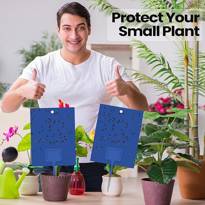 Qualirey 100 Pcs 6 x 8 Inch Sticky Traps for Gnats Dual Sided Fruit Fly Sticky Traps for Indoor and Outdoor Plant with Twist Ties and Plastic Holders for Flying Plant Insect Fungus Gnats (Blue)