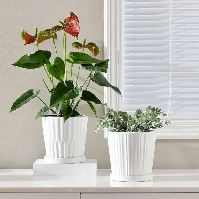 Ton Sin Plant PotsWhite 6 Inch Flower Pots for PlantsCeramic Planter with Drainage HolesIndoor Planter Pots with SaucerOutdoor Garden Pots (White 4 Pack)