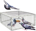 Pigeon Trap Cage with Escape-Proof Design – Auto Bird Trap Cage for Pigeons and Small Birds | Multi-Catch Pigeons Birds Traps for Sale with Well Anti-Rust Baking Paint- L Size