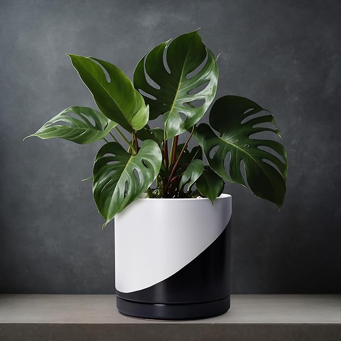 D'vine Dev 12 Inch Ceramic Planter Pot with Drainage Hole and Saucer Indoor Cylinder Round Planter Pot Oblique Monochrome Black and White 94-O-F-K
