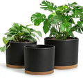 Large Plant Pots Set of 3 – 8 9 10 Indoor Flower Pots with Drainage Holes and Saucers Big Planters for Monstera Fiddle Leaf Fig Snake Plant – 5 Colors