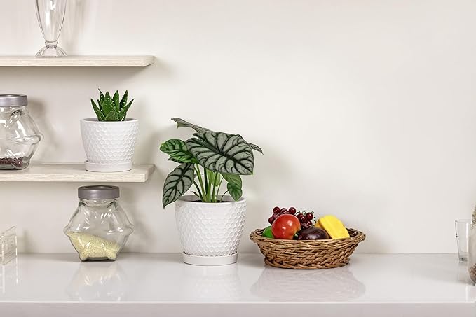 Docrin Ceramic Plant Pots Set of 2 (6.6+5.5) High-Fired Clay Indoor Planters with Drainage Holes &amp Saucer Honeycomb Modern Home Decor for All House Plants