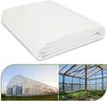 Greenhouse Plastic Sheeting 8 x 25ft 6 mil Clear Greenhouse Film UV Resistant Thickened Plastic Sheeting Heavy Duty Polyethylene Green House Plastic Cover(8 x 25ft)