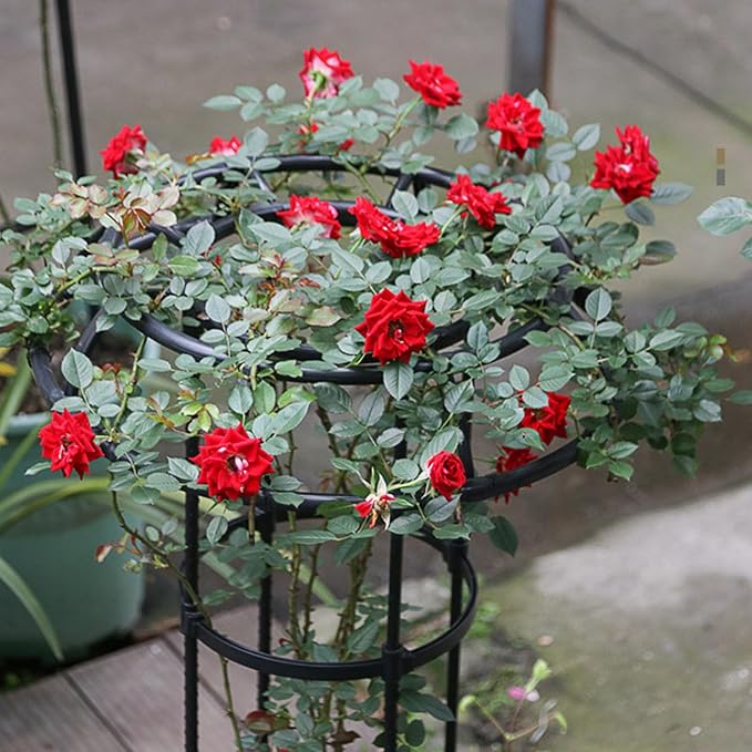 FLEXMAN Garden Trellis for Climbing Plants 50cm Diameter Climbing Vine Frame Round Garden Trellis Tomato Cages for Climbing Vines Rose Bushes Indoor Potted Plants Tomatoes (2 Layers)