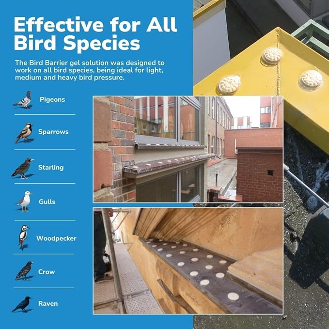 Bird Barrier Optical Gel Bird Deterrent – 200 Pack All-Natural Bird Gel – Deters Most Species Including Pigeons Woodpeckers Gulls Crows Starlings – Ideal for Ledges Balconies Signs Equipment