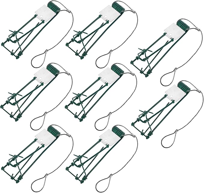 Gopher Trap with Chain 4/8 Pcs Outdoor Gopher Mole Vole Traps Killer for Lawns Easy Set (8)