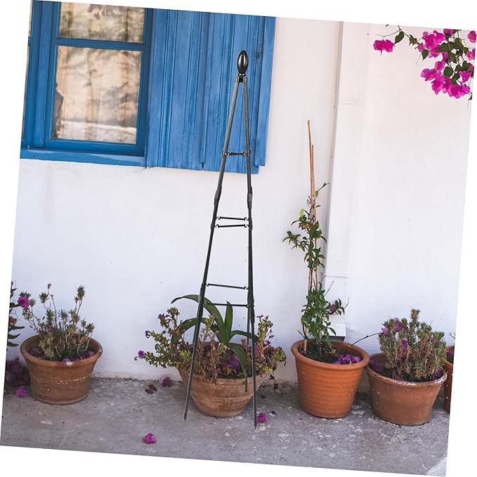 Sturdy Plant Support Stand Outdoor Garden Trellis for Climbing Plants Decorative Accessory