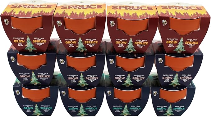 BUZZY Seeds Spruce Tree 12-Pack Mini Terracotta Grow Kits – Sustainable Tree Growing Kit Includes Everything to Sprout Evergreens Perfect for Earth Day Party Favors or Corporate Gifts