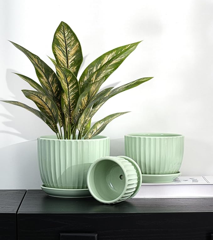 Ton Sin Flower Pots Light Green Ceramic Plant Pots Set of 3Small Glazed Succulent Pots with Drainage HoleCactus Planter with SaucerOutdoor Garden Pots (Green)