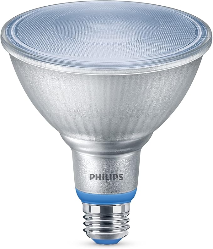 PHILIPS LED 120W PAR38 4-Pack Basic Daylight (5000K) 1325 Lumen (15.5W = 120W) Frosted Light Bulbs