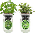 2-Pack Hydroponic Mason Jar Herb Garden Kit Indoor Herb Garden Self-Watering Starter Kit New Christmas Gift for Mom (CatnipPeppermint)