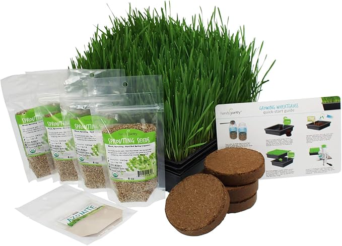 Organic Wheatgrass Growing Starter Kit - Grow &amp Juice Wheat Grass - Includes Non-GMO Organic Wheatgrass Seeds - for Healthy Wheatgrass Shots Home Garden and Cat Grass