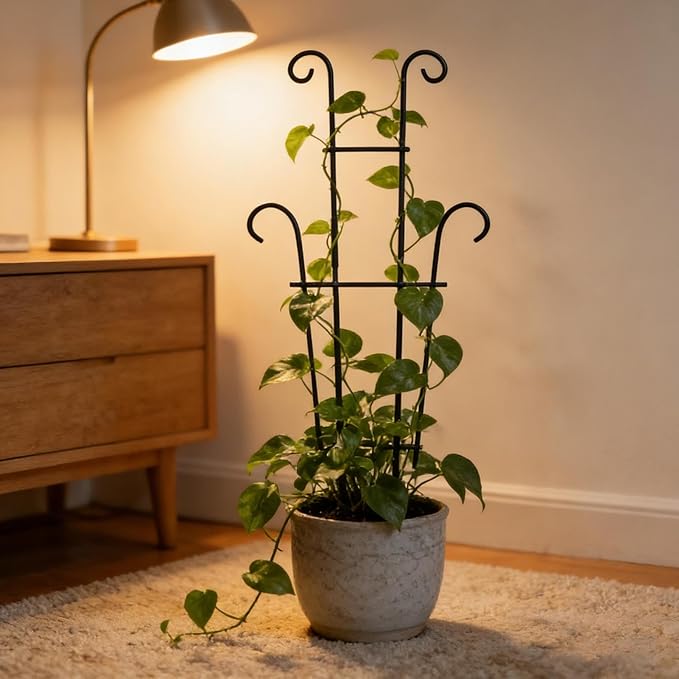 Plant Stand - Rust-Proof Stem Trellis - Garden Trellis for Climbing Plants | for Pothos Ivy Fruit Vegetable Cucumber Bean Flower Pots Planter House