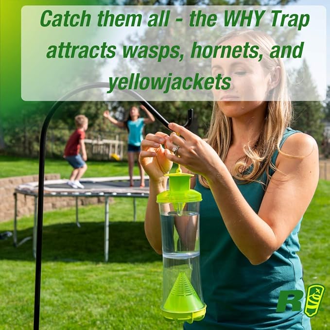 RESCUE! Non-Toxic Wasp Hornet Yellowjacket Trap (WHY Trap) Attractant Refill - 2 Week Refill - 6 Pack