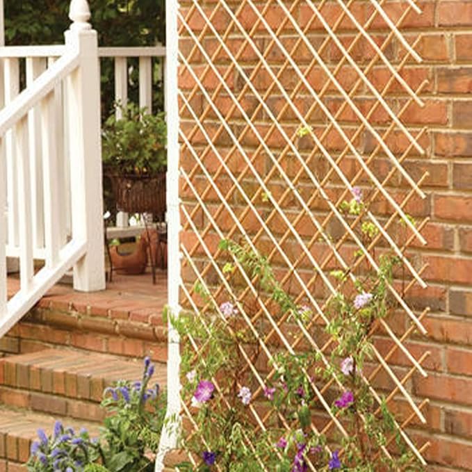 FOREVER BAMBOO Expandable Peeled Carbonized Willow Wood Trellis Fence Plant Climbing Lattices Trellis Fence Support 36 in H x 72 in L (2-Pack)