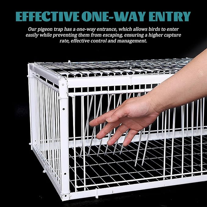 Pigeon Trap Bird Trap with One-Way Access Entrances &amp Skylight 16x12x10 Inch Metal Pigeon Cage for Farms Barns Gardens Doves Breeding