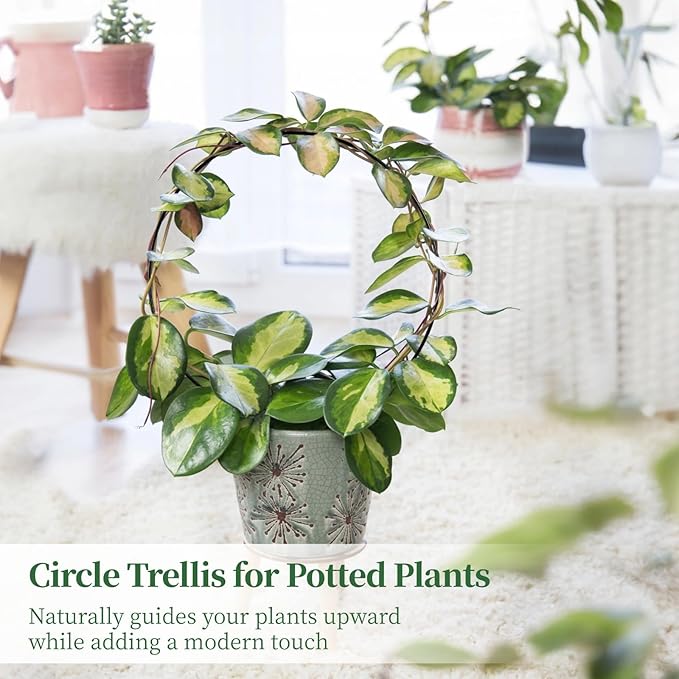 Generic Vines Pothos 12 Pcs Circle Trellis for Climbing Plants 13.4 X 9.4 in Metal Round Trellis Small Indoor Plant Trellis Rustproof Black Metal Support Frame Potted Plants