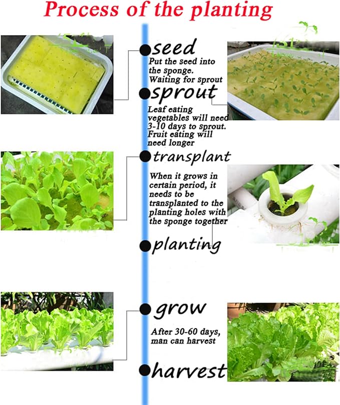 Hydroponic Grow Kit 20 Plant Sites Vegetables Hydroponics Growing System Food-Grade PVC-U Pipes for Fruits Vegetables Herb White(4.3'' Dia Pipes 4 Pipes 2 Layers)