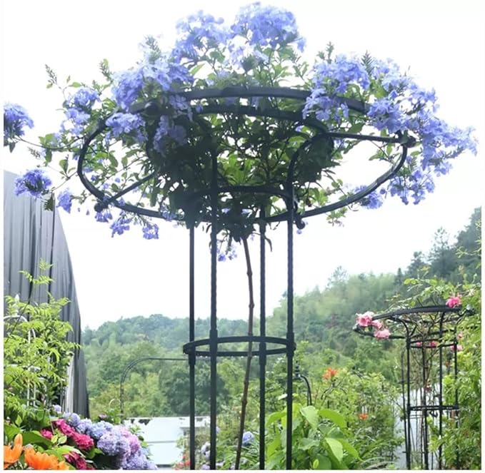 Garden Trellis Garden Umbrella-Shaped Trellis for Climbing Plants Potted Plant Climbing Support Frame Plant Support Frame Suitable for Tomatoes Cucumbers and Potted Plants(125CM)