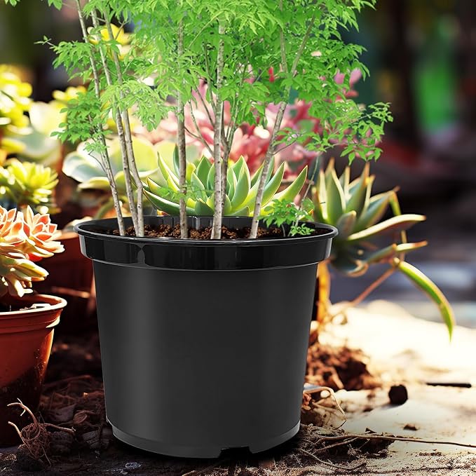 5 Gallon Pots with 10lbs Rocks 12 Inch Plastic Nursery Pots with Drainage Holes Round Sturdy Garden Pots with Stones Deep Nursery Pots for Plants Gardening Gifts for Women (5-Pack Black)