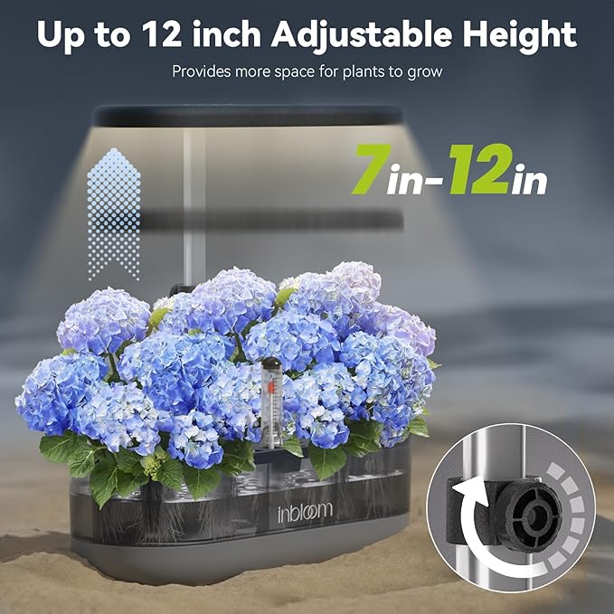 inbloom 12 Pods Hydroponics Growing System Transparent Black and 50 Pcs Grow Sponges for Replacement