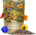 California Natives Mix - Bulk 1 Pound Bag - Over 120000 Native Seeds - Open Pollinated and Non GMO