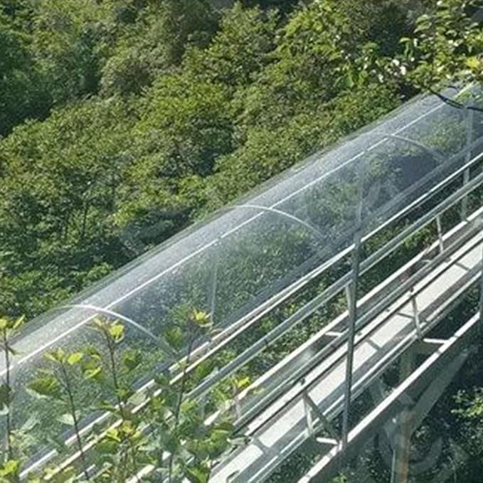 Polycarbonate Roofing Sheet UV Resistant Greenhouse Clear Film Transparent Insulation Polycarbonate Sheet for Gardening Farming Agriculture Canopy Easy to Cut (Clear 49.2ft x3.2ft)