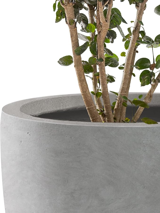 Kante 16.5 Dia Round Concrete Planter Large Outdoor Modern Indoor Decorative Plant Pots with Drainage Hole and Rubber Plug for Home and Garden Natural Concrete