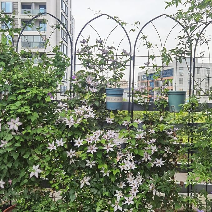 Sturdy Metal Garden Trellis for Climbing Plants – Rust-Resistant Outdoor Flower Support with Decorative Lattice Design (2 Pack-Black)