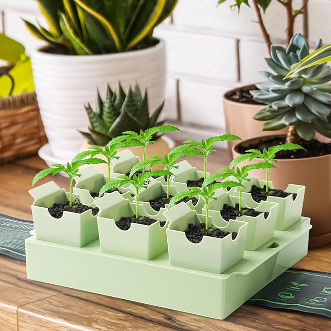 Seed Starter Tray Dual-Purpose Handles for Transplanting &amp Labeling 9 Deep 2.3 in Cells Extra-Thick Reusable Germination Kit for Indoor Outdoor &amp Greenhouse Use