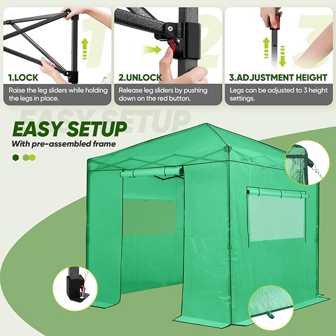 EAGLE PEAK 8x8 Portable Walk in Greenhouse Pop Up Indoor Outdoor Greenhouse Green House Kit with Zippered Roll-Up Doors and Windows PE Cover Clear/Green