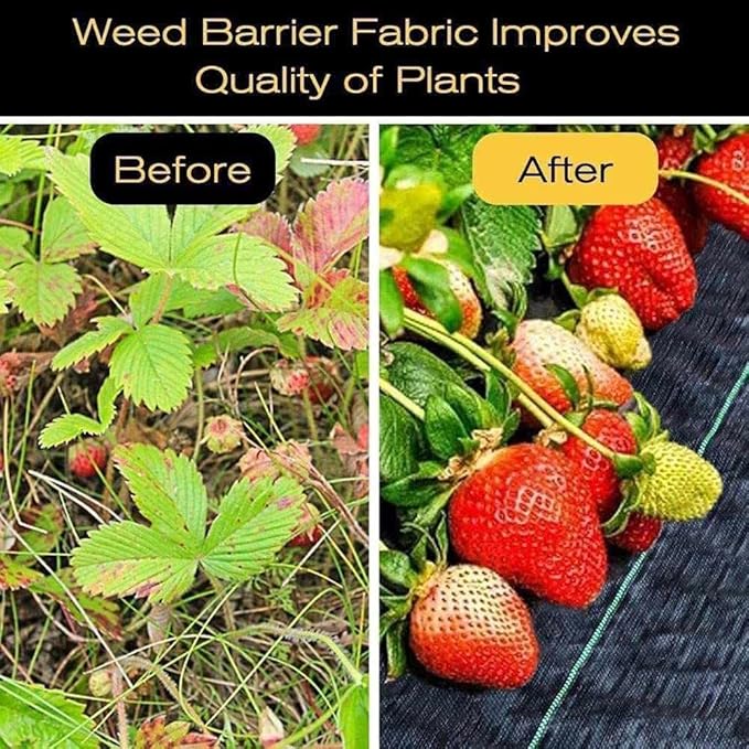 CHALKE Weeds Control Fabric 8/14meter for Plant Anti Grass Agricultural PP Woven Mulch Cloth Greenhouse Weeding Mat Water Permeable (Size : 2x8 Meter)