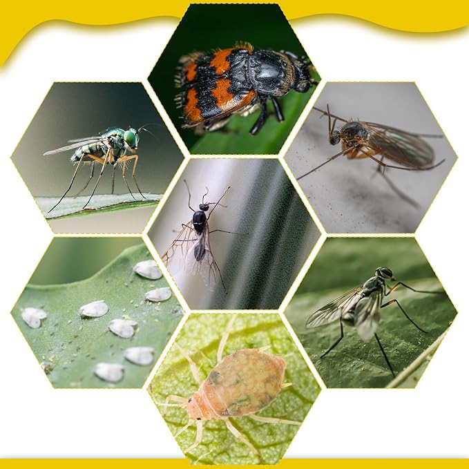220 Pcs 7.9 x 4 Inch Sticky Traps for Plant Gnats Double Sided Sticky Traps with Twist Ties for Flying Killer Insect Indoor Outdoor Fungus Gnats Whiteflies Aphids (Yellow)