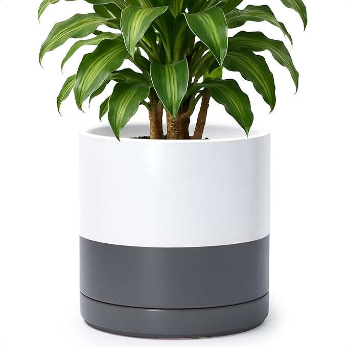 D'vine Dev 10 Inch Ceramic Planter Pot with Drainage Hole and Saucer Indoor Cylinder Round Planter Pot White/Speckled Grey 94-O-E-6