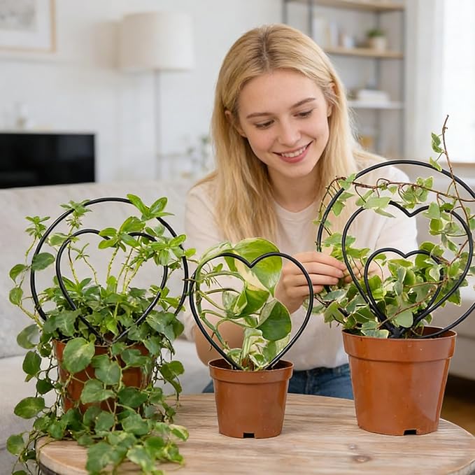 Plant Trellis Indoor - Metal Vine Support Decoration | Plant Trellis Outdoor - for Family Beginner Home Gardening Pairing Indoor House Wedding Vegetable