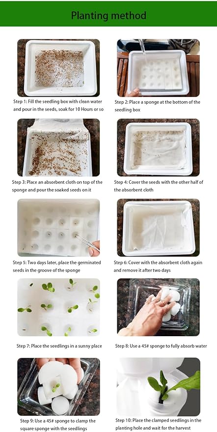 Hydroponics Growing System Kit Indoor/Outdoor Herb Garden for Vegetable Gardening Lovers Complete Hydroponic Setup for Easy Plant Growth