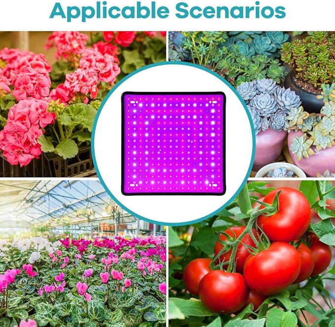 2PCS 2000W Growth Light for Indoor Plants 256Leds Grow Light Full Spectrum Plant Growing Lamp for Indoor Cultivation Greenhouse Grow Tent Hydroponics with Dimmable Lights Levels US Plug with Hook