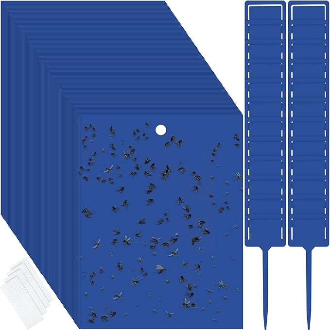 Qualirey 100 Pcs 6 x 8 Inch Sticky Traps for Gnats Dual Sided Fruit Fly Sticky Traps for Indoor and Outdoor Plant with Twist Ties and Plastic Holders for Flying Plant Insect Fungus Gnats (Blue)