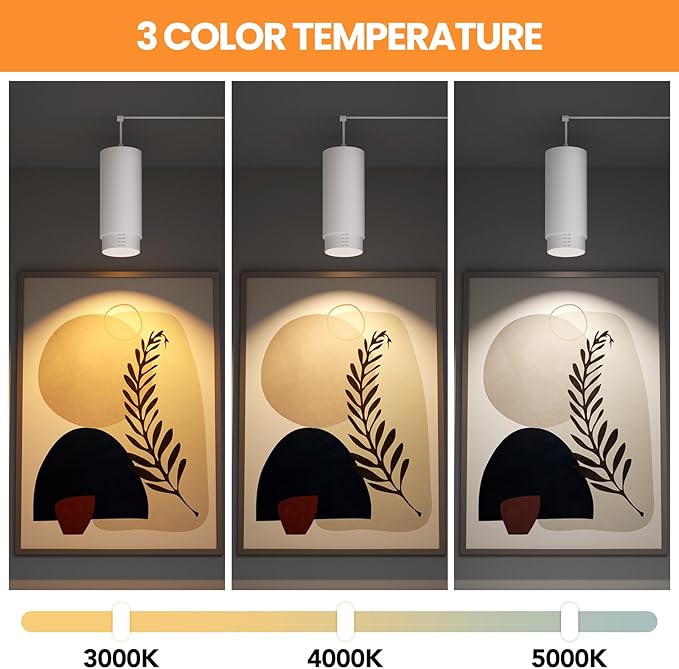 Remote Control Hanging Grow Lights for Indoor Plants 30W Hanging Plant Light with Auto On/Off Timer Full Spectrum LED Grow Light 3000K-5000K Dimmable Plug in Pendant Hanging Lights White