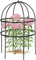 1 Pcs Jardin Bird Cage Plant Support 24 H Large Sturdy Grow-Through Flower Support Peony Cage Climbing Plant Support Trellis Sculptural Garden Decor for Perennial Flowers (Black)