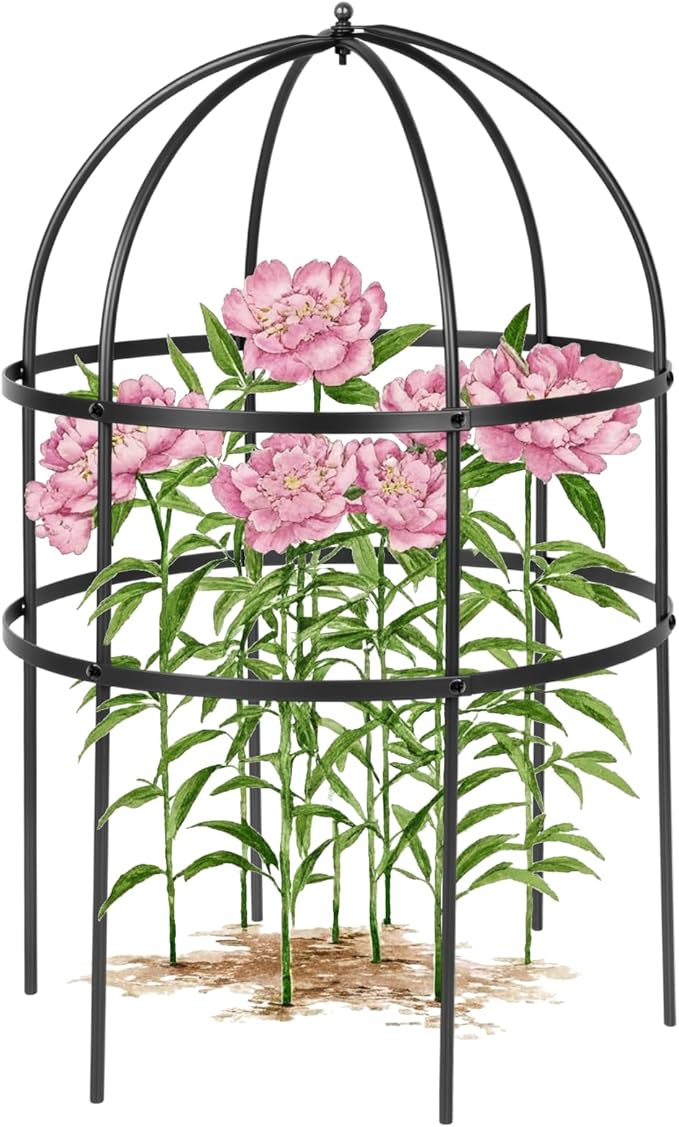 1 Pcs Jardin Bird Cage Plant Support 24 H Large Sturdy Grow-Through Flower Support Peony Cage Climbing Plant Support Trellis Sculptural Garden Decor for Perennial Flowers (Black)