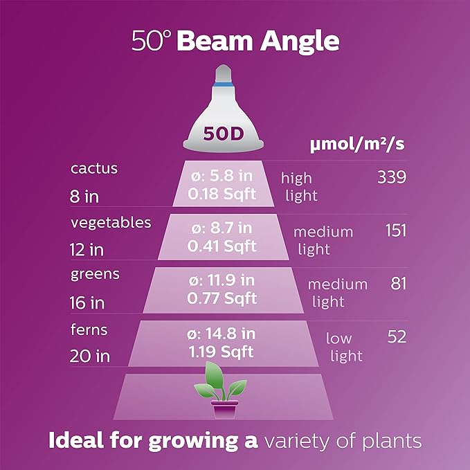 PHILIPS LED 120W PAR38 4-Pack Basic Daylight (5000K) 1325 Lumen (15.5W = 120W) Frosted Light Bulbs