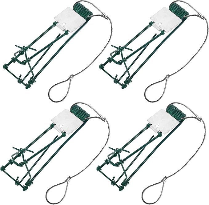 Gopher Trap with Chain 4/8 Pcs Outdoor Gopher Mole Vole Traps Killer for Lawns Easy Set (4)
