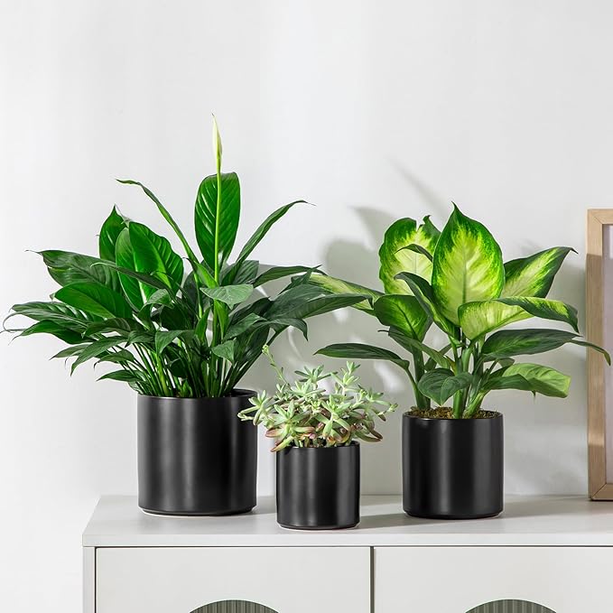 vancasso Ceramic Plant Pots 4.25+5.25+6.25 Inch Planter Pot with Drainage Hole Flower Pots for Indoor Outdoor Plants Set of 3 Black