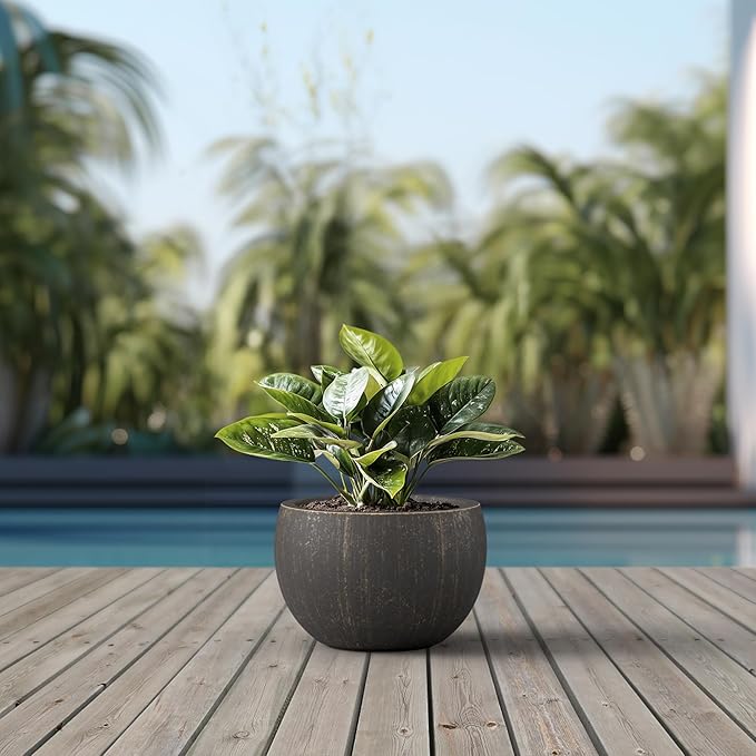 Kante 19.9 Dia Round Concrete Planter Outdoor/Indoor Large Bowl Plant Pots with Drainage Hole and Rubber Plug for Garden Patio Balcony Home Oil Rubbed Bronze