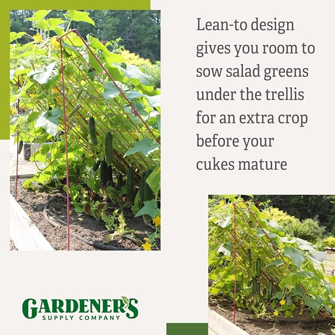 Gardener's Supply Company Cucumber Trellis | Garden Bed Support for Cucumbers &amp Climbing Plants | Outdoor Plant Support w/ 4 Grids for Easy Harvesting | 32 x 48 - Medium (Red)